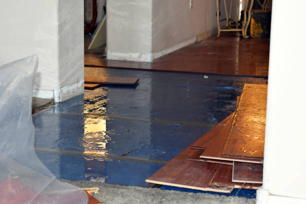 Professional Burst Pipe Cleanup technician working in Waban, MA